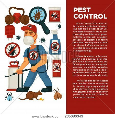 Extermination Or Pest Control Service And Sanitary Domestic Disinfection Vector Flat Design Poster. 