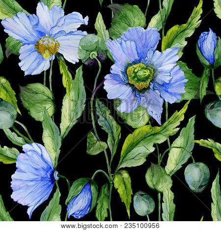 Beautiful Blue Poppy Flowers With Green Leaves On Black Background. Seamless Floral Pattern. Waterco