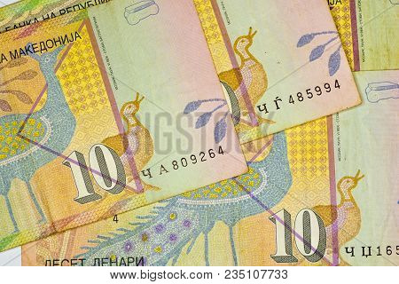 Close-up Macedonia Currency, Macedonian Denar Bank Note