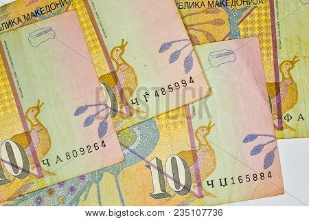 Close-up Macedonia Currency, Macedonian Denar Bank Note