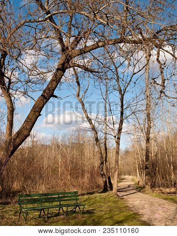 A Bench Next To A Walking Path In Frick Park In Pittsburgh, Pennsylvania In Spring Time