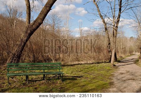 A Bench Next To A Walking Path In Frick Park In Pittsburgh, Pennsylvania In Spring Time