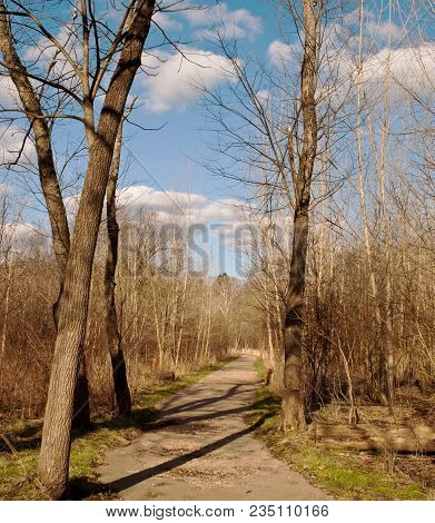 A Path Through Frick Park In Pittsburgh, Pennsylvania On A Beautiful Spring Day
