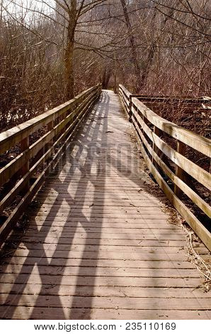 A Wooden Footpath In The Spring In Frick Park, A City Maintained Park In Pittsburgh, Pennsylvania