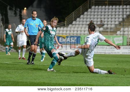 KAPOSVAR, Ungheria - 10 settembre: Serghei Alexeev (in bianco) in azione presso un campione nazionale ungherese