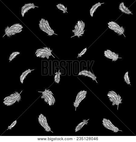 Monochrome Black White Feathers Embroidery Seamless Border Stripe. Boho Tribal Clothes Indian Bird C