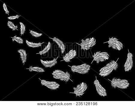 Monochrome Black White Feathers Embroidery Seamless Pattern. Boho Tribal Clothes Indian Bird Classic