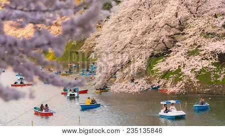 People Boating And Enjoy At   Sakura Cherry Blossom Chidorigafuchi