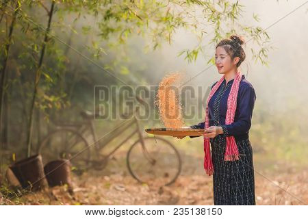 Lifestyle Of Rural Asian Women In The Field Countryside Thailand.daily Life Of Rural Women In Thaila