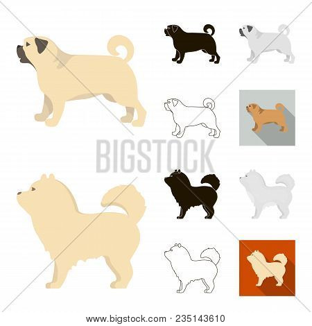 Dog Breeds Cartoon, Black, Flat, Monochrome, Outline Icons In Set Collection For Design.dog Pet Vect