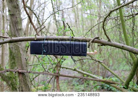Dormouse Nest Tube Survey Box