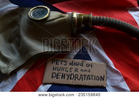 The scandal about poisoning of former Russian spy and killing his domestic pets cat and Guinean pigs. Animal abuse.Concept. British Flag background.April 7, 2018 in Kiev,Ukraine