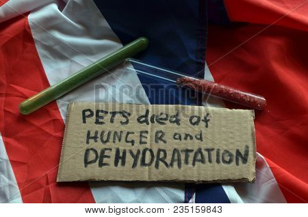 The scandal about poisoning of former Russian spy and killing his domestic pets cat and Guinean pigs. Animal abuse.Concept. British Flag background.April 7, 2018 in Kiev,Ukraine