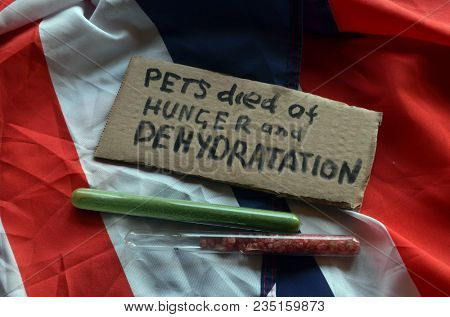 The scandal about poisoning of former Russian spy and killing his domestic pets cat and Guinean pigs. Animal abuse.Concept. British Flag background.April 7, 2018 in Kiev,Ukraine