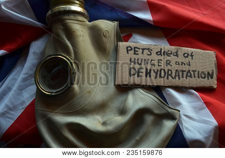 The scandal about poisoning of former Russian spy and killing his domestic pets cat and Guinean pigs. Animal abuse.Concept. British Flag background.April 7, 2018 in Kiev,Ukraine