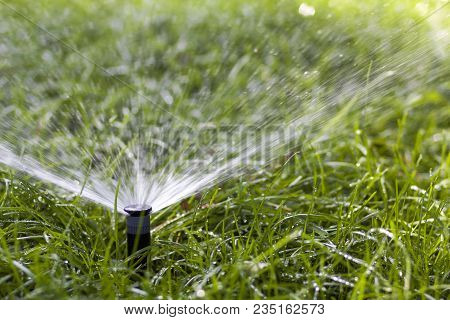 Lawn Water Sprinkler Spraying Water Over Grass In Garden On A Hot Summer Day. Automatic Watering Law