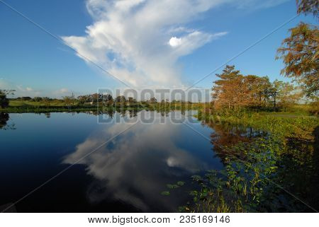 Loxahatchee National Wildlife Refuge Near Boynton Beach, Florida