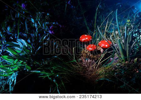 Mushroom. Fantasy Glowing Mushrooms In Mystery Dark Forest Close-up. Amanita Muscaria, Fly Agaric In