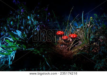 Mushroom. Fantasy Glowing Mushrooms In Mystery Dark Forest Close-up. Amanita Muscaria, Fly Agaric In
