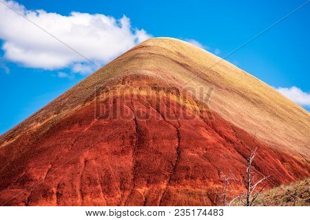 Painted Hill Oregon
