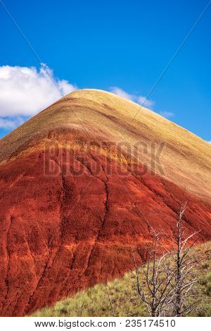 Painted Hill Oregon