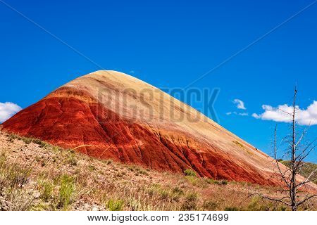 Painted Hill Oregon