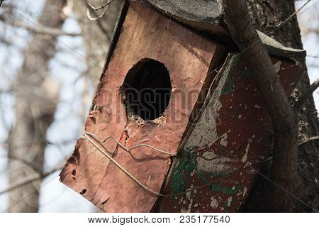 Old Birdhouse In The Park In The Afternoon In The Spring