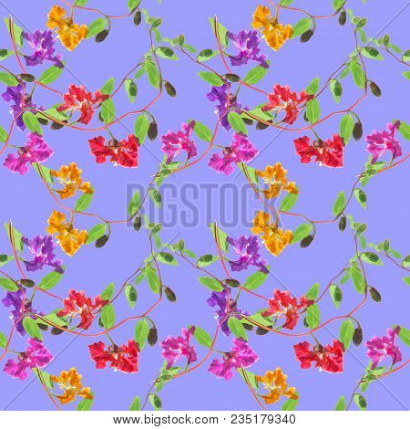 Clarkia. Texture Of Flowers. Seamless Pattern For Continuous Replicate. Floral Background, Photo Col