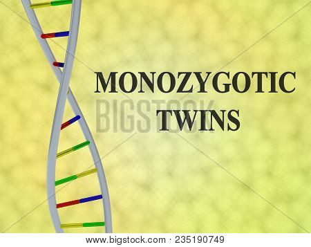 Monozygotic Twins Concept