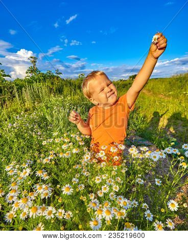 Adorable boy with camomile flowers outdoor laughing