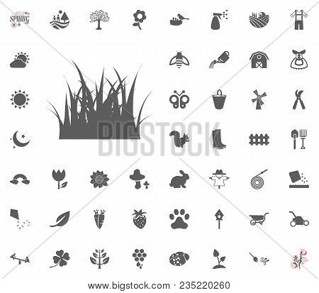 Grass Icon. Spring Vector Illustration Icon Set