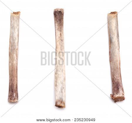 Rib Bones