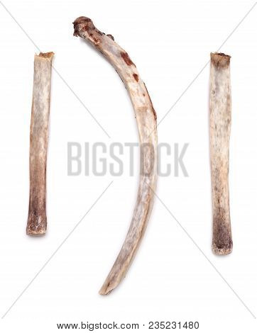 Rib Bones