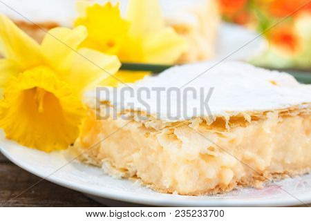 Italian Cremeschnitte Sweet Cream Pie Slices On A Plate. Yellow Flower For A Decoration. Cremeschnit