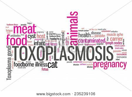 Toxoplasmosis - Parasitic Disease. Health Care Issue. Word Cloud Sign.