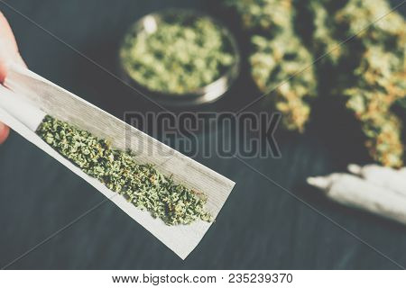 The Man Twists The Canth From Fresh Marijuana