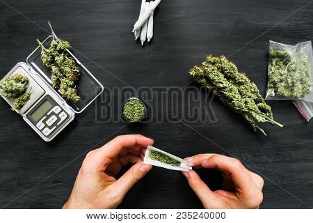 The Man Twists The Canth From Fresh Marijuana