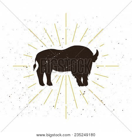 Retro Standing Bison Silhouette Logo. Nature Sign And Farm Vintage Logotype. Wild Buffalo Icon. Zoo 