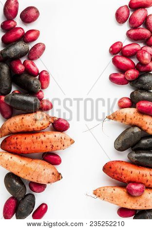 Different Varieties In Form And Color Of Potatoes  On A White Isolated Background. Red, Shetland Bla