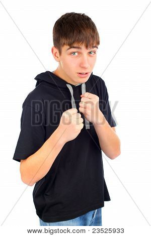 Teenager Boxer