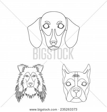 Dog Breeds Outline Icons In Set Collection For Design.muzzle Of A Dog Vector Symbol Stock  Illustrat