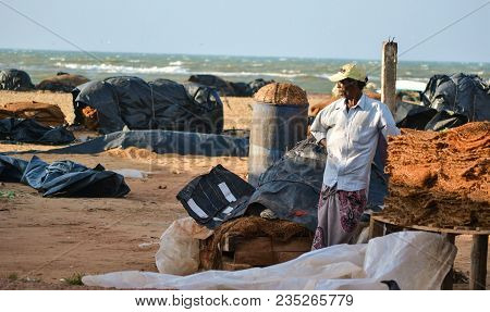 Negombo, Sri Lanka, February 2018: The Man Standing On The Beach On The Fish Market.