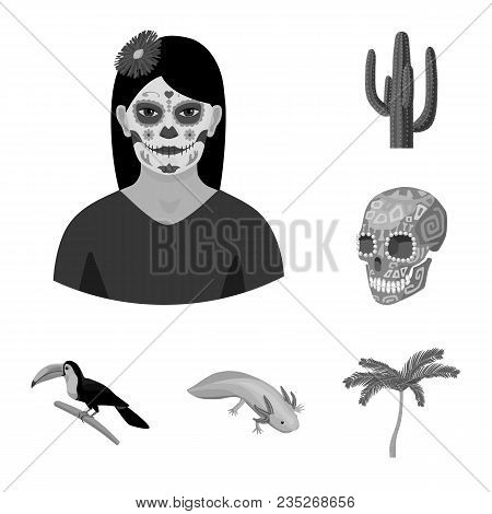 Country Mexico Monochrome Icons In Set Collection For Design. Mexico And Landmark Vector Symbol Stoc