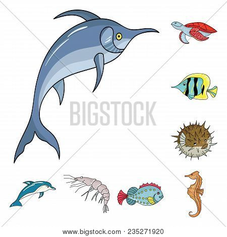 A Variety Of Marine Animals Cartoon Icons In Set Collection For Design. Fish And Shellfish Vector Sy