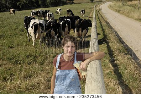 Portrait Of A Farmer With Her Cows In The Field