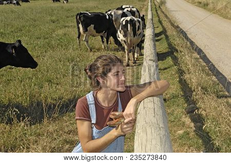 Portrait Of A Farmer With Her Cows In The Field