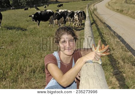 Portrait Of A Farmer With Her Cows In The Field