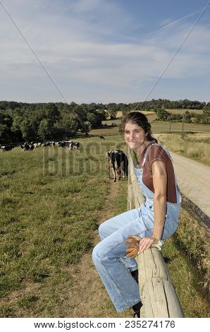 Farmer Sitting On A Fence And Behind Her Herd Of Cows