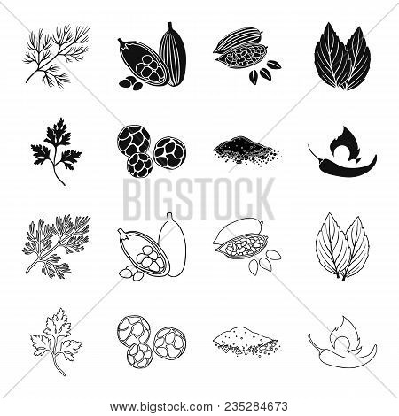 Ptrushka, Black Pepper, Paprika, Chili.herbs And Spices Set Collection Icons In Black, Outline Style
