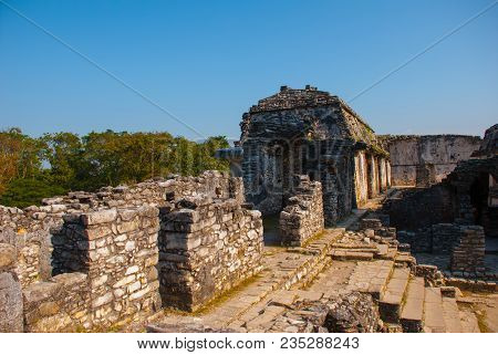 Palenque-the Remains Of An Ancient Mayan Civilization, Well-preserved In The Selva Of The Southern S